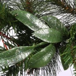 30" Frosted Pine Berry Collection Wreaths With Big White Edged Pine Cones, Red Berries, Silver Glittered Eucalyptus Leaves & Warm White LED Lights 12 30" Frosted Pine Berry Collection Wreaths With Big White Edged Pine Cones, Red Berries, Silver Glittered Eucalyptus Leaves & Warm White LED Lights -Michaels Store D206623S 15