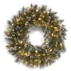 24" Glittery Bristle® Pine Wreath With Warm White LED Lights