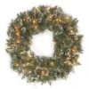 24" Glittery Bristle® Pine Wreath With Clear Lights