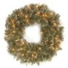 24" Glittery Bristle® Pine Wreath With Pine Cones & Warm White LED Lights