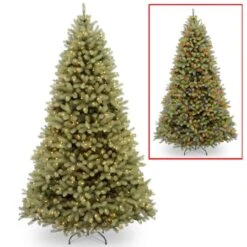 9ft. Pre-Lit Downswept Douglas® Fir Tree, Dual Color LED Lights