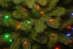 9ft. Pre-Lit Downswept Douglas® Fir Tree, Dual Color LED Lights 14 9ft. Pre-Lit Downswept Douglas® Fir Tree, Dual Color LED Lights -Michaels Store D228428S 14