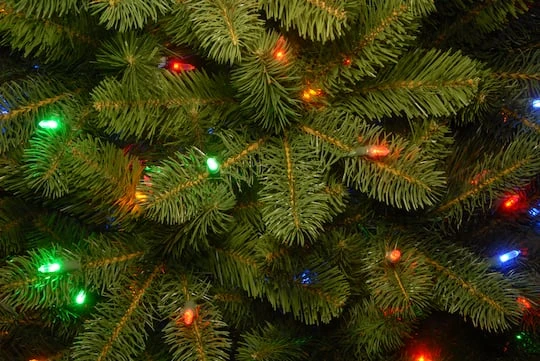 9ft. Pre-Lit Downswept Douglas® Fir Tree, Dual Color LED Lights 5 9ft. Pre-Lit Downswept Douglas® Fir Tree, Dual Color LED Lights - Image 5