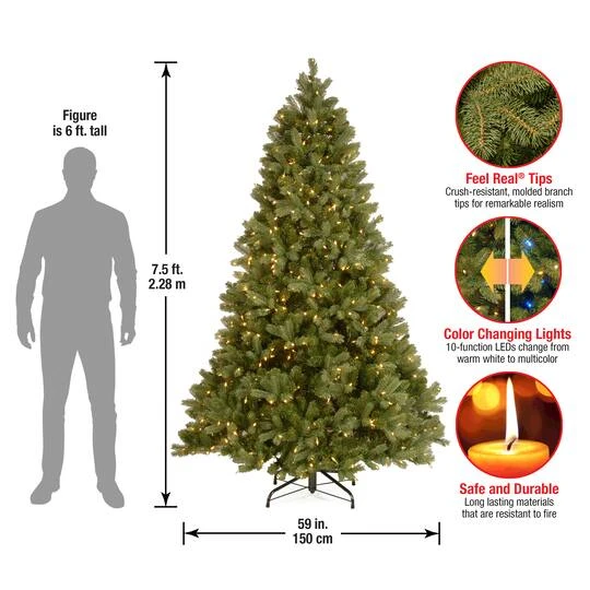 7.5ft. Pre-Lit Downswept Douglas® Fir Tree, Dual Color LED Lights 9 7.5ft. Pre-Lit Downswept Douglas® Fir Tree, Dual Color LED Lights - Image 9