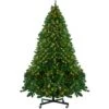 Northlight 14ft. Pre-Lit Full Olympia Pine Artificial Christmas Tree With Wheels & Warm Clear LED Lights