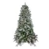 Northlight 6.5ft. Pre-Lit Mixed Rose Mary Emerald Angel Pine Artificial Christmas Tree, Clear LED Lights