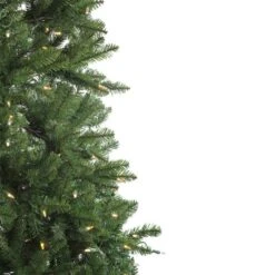 Northlight 9ft. Pre-Lit Neola Fraser Fir Artificial Christmas Tree, Dual LED Lights With Instant Connect Technology 15 Northlight 9ft. Pre-Lit Neola Fraser Fir Artificial Christmas Tree, Dual LED Lights With Instant Connect Technology -Michaels Store D253666S 14