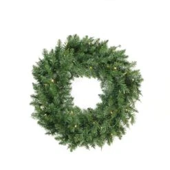 Northlight 24" LED Buffalo Fir Artificial Christmas Wreath
