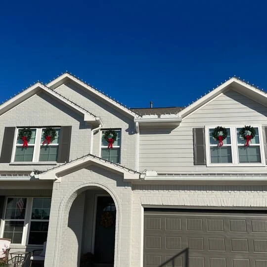 Northlight 24" Canadian Pine Artificial Christmas Wreath 11 Northlight 24" Canadian Pine Artificial Christmas Wreath - Image 11