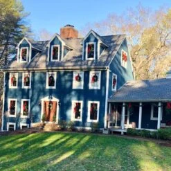 Northlight 24" Canadian Pine Artificial Christmas Wreath 18 Northlight 24" Canadian Pine Artificial Christmas Wreath -Michaels Store D253771S 5