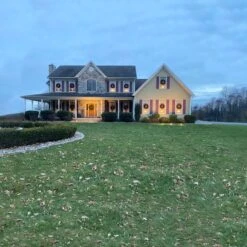 Northlight 2.5ft. Canadian Pine Artificial Christmas Wreath 19 Northlight 2.5ft. Canadian Pine Artificial Christmas Wreath -Michaels Store D253773S 6