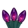 Northlight 25ct. C9 Christmas String Lights With Green Wire Purple