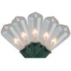 Northlight 20ct. Clear Mini Edison Christmas String Lights