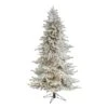 6.5ft. Pre-Lit Flocked Grand Northern Rocky Fir Artificial Christmas Tree, Warm Micro LED Lights
