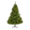 6.5ft. Pre-Lit West Virginia Mixed Pine Artificial Christmas Tree, Clear LED Lights
