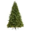 7.5ft. Pre-Lit Wyoming Fir Artificial Christmas Tree With Clear LED Lights