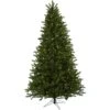 7.5ft. Pre-Lit Rembrandt Artificial Christmas Tree, Clear Lights