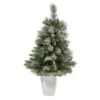 3.5ft. Unlit Snowed French Alps Mountain Pine Artificial Christmas Tree With Pinecones In Metal Planter