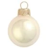 Whitehurst 12ct. 2.75" Pearl Glass Ball Ornaments Champagne Pearl