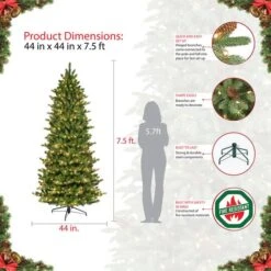 7.5ft. Pre-Lit Sure-Lit Pole® Slim Fraser Fir Artificial Christmas Tree, Multicolor LED Lights 13 7.5ft. Pre-Lit Sure-Lit Pole® Slim Fraser Fir Artificial Christmas Tree, Multicolor LED Lights -Michaels Store D393453S 6