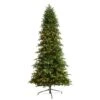 9ft. Pre-Lit South Carolina Fir Artificial Christmas Tree, Clear Lights