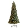 9ft. Pre-Lit Frosted British Columbia Mountain Pine Artificial Christmas Tree, Clear Lights