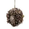 Northlight 5" Glitter Copper Pine Cone And Leaves Round Ornament