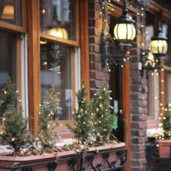 Northlight 50ct. Mini Christmas String Lights With Green Wire Clear -Michaels Store D491460S 2