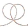 Northlight 18ft. Multi-Colored Outdoor Christmas Rope Lights