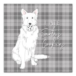 I Ate Santa's Cookies 12x12 Canvas Wall Art