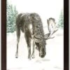 Winter Moose Walnut Framed Print Under Plexiglass