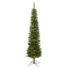 6.5ft. Pre-Lit Durham Pole Pine Artificial Christmas Tree, Warm White Dura-Lit® LED Lights