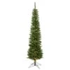 7.5ft. Pre-Lit Durham Pole Pine Artificial Christmas Tree, Warm White Dura-Lit® LED Lights