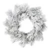 24" Frosted Beckett Pine Wreath