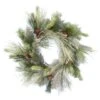 24" Unlit Frosted Myers Pine Artificial Christmas Wreath