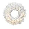 36" Pre-Lit Crystal White Spruce Christmas Wreath, Warm White LED Lights