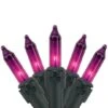 Northlight 50ct. Mini Christmas String Lights With Black Wire Purple