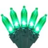 Northlight 50ct. LED Mini Christmas String Lights With Green Wire