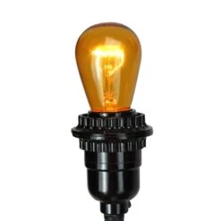 Northlight Transparent Incandescent S14 Replacement Christmas Bulbs, 25ct. Amber 15 Northlight Transparent Incandescent S14 Replacement Christmas Bulbs, 25ct. Amber -Michaels Store D676232S 3