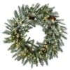 30" LED Snowy Morgan Spruce Wreath