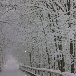 Northlight Winter Wooden Bridge Fiber Optic Lighted Canvas Wall Art -Michaels Store M20007883 2