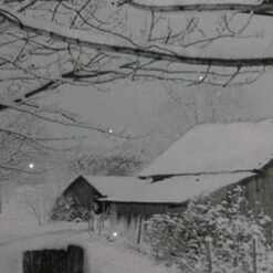 Northlight Snowy Winter Cabin Fiber Optic Lighted Canvas Wall Art -Michaels Store M20007884 2